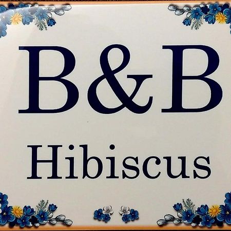 B&B Hibiscus 포르토 산텔피디오 외부 사진