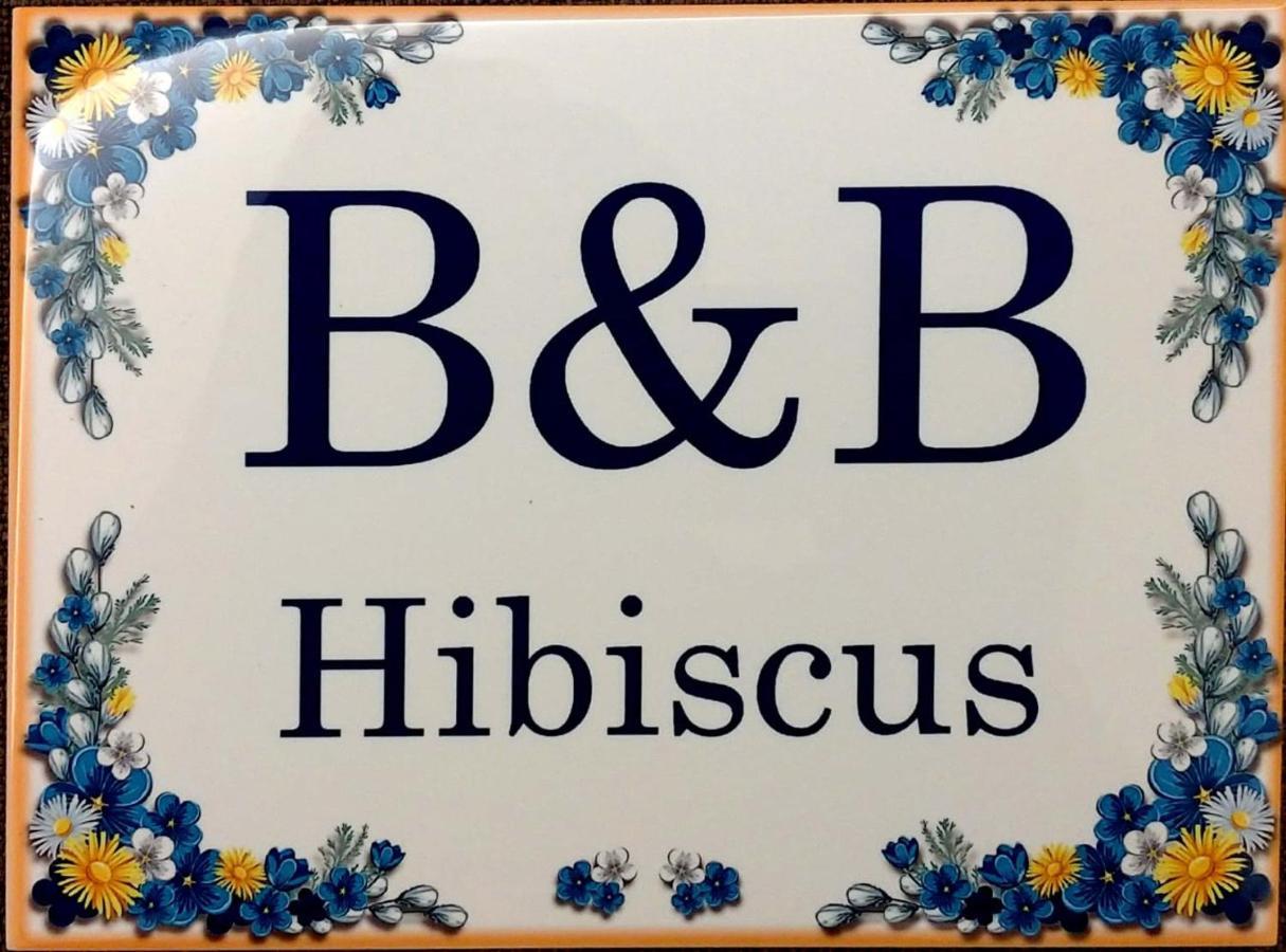 B&B Hibiscus 포르토 산텔피디오 외부 사진